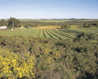Chapman Valley Scenic Drive