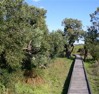 Kepwari Trails Wetland Wonderland - Attractions Melbourne