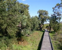 Kepwari Trails Wetland Wonderland