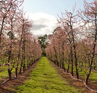 Raeburn Orchards - Attractions Melbourne