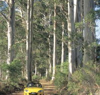 Mount Shadforth Scenic Drive - Attractions Melbourne