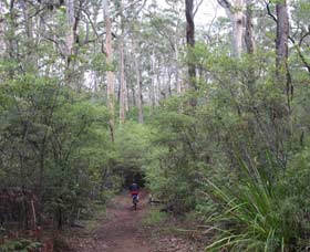 Margaret River Rails Trail - Attractions Melbourne 0