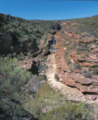 Ross Graham Lookout