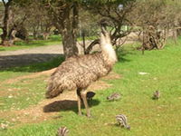 Book Fishermans Bay Accommodation Vacations Attractions Melbourne Attractions Melbourne