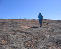 Merredin Peak Trail