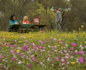 Gwambygine Park - Attractions Melbourne 0