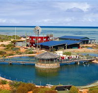 Ocean Park Aquarium - Attractions Melbourne