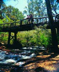 Barrabup Pool
