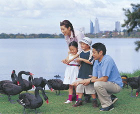 Lake Monger - Attractions Melbourne 0