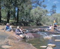John Forrest National Park