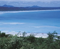 Book Bremer Bay Accommodation Vacations Attractions Melbourne Attractions Melbourne
