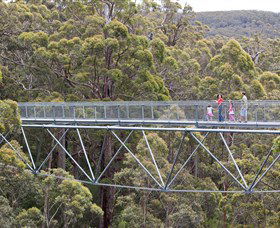 Walpole Wilderness Discovery Centre - Attractions Melbourne 0