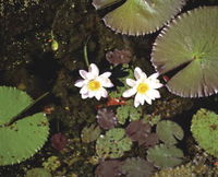 Parry Lagoons Nature Reserve
