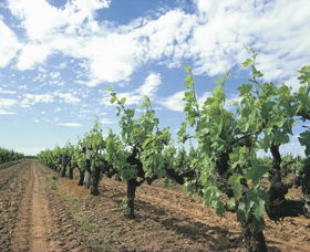 Karridale WA Attractions Melbourne