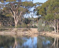Merredin Railway Dam