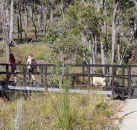 Forest Path Crooked Brook - Attractions Melbourne