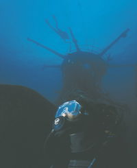 Swan Dive Wreck