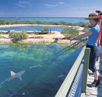 Shark Bay Marine Park - Attractions Melbourne