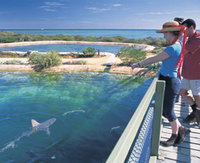 Shark Bay Marine Park