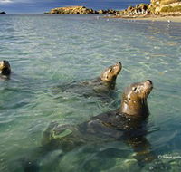 Shoalwater Islands Marine Park - Attractions Melbourne