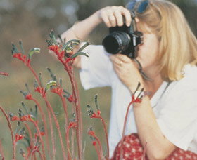 Gingin Cemetery - Attractions Melbourne 0