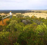 Archer Drive Scenic Drive and Lookout - Attractions Melbourne