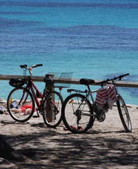 Parker Point Marine Snorkel Trail