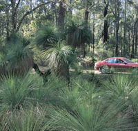 Bridgetown Jarrah Park - Attractions Melbourne