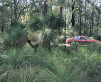 Bridgetown Jarrah Park