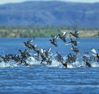 Ord River - Attractions Melbourne
