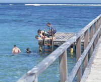Book Horrocks Accommodation Vacations Attractions Melbourne Attractions Melbourne