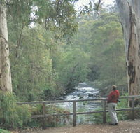 Cascades - Attractions Melbourne