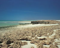 Cape Keraudren Nature Reserve