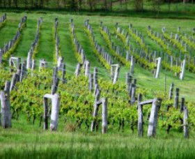 Sienna Estate Winery - Attractions Melbourne 0