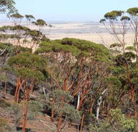 Mount Matilda Walk Trail Wongan Hills - Attractions Melbourne