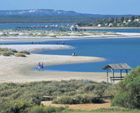Murchison River