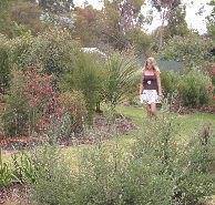 The Mythic Mazes - Attractions Melbourne