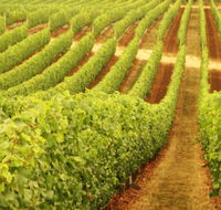Xanadu Wines - Attractions Melbourne