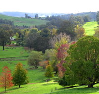 Golden Valley Tree Park - Attractions Melbourne