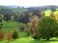 Book Balingup Accommodation Vacations Attractions Melbourne Attractions Melbourne