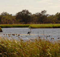 Anytime Adventures in Mandurah  the Peel Region - Attractions Melbourne