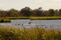 Anytime Adventures in Mandurah  the Peel Region