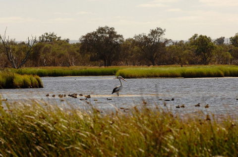 Anytime Adventures In Mandurah & The Peel Region - Attractions Melbourne 0