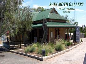 Rain Moth Gallery - Attractions Melbourne 0