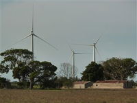 Book Edithburgh Accommodation Vacations Attractions Melbourne Attractions Melbourne