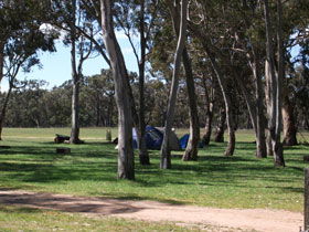 Naracoorte SA Attractions Melbourne