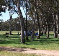 Black Cockatoo Bush Camp - Attractions Melbourne