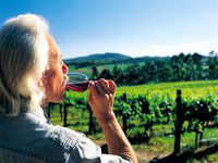 Book Native Valley Accommodation Vacations Attractions Melbourne Attractions Melbourne