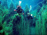 Book Port Macdonnell Accommodation Vacations Attractions Melbourne Attractions Melbourne