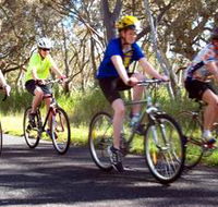 Penola Cycling Trails - Attractions Melbourne